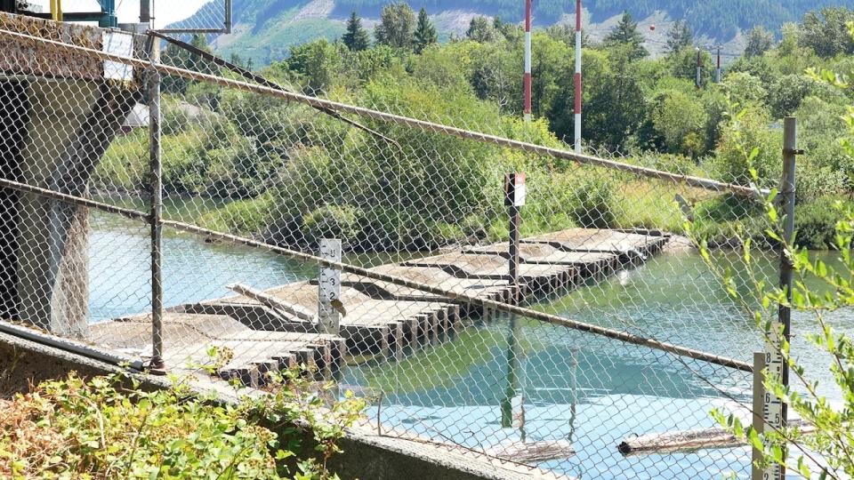 The current weir that controls the flow of water into the Cowichan River. Built in the 1950s, advocates say it is no longer sufficient to manage water levels — which are increasingly low in the summer because of climate change. 