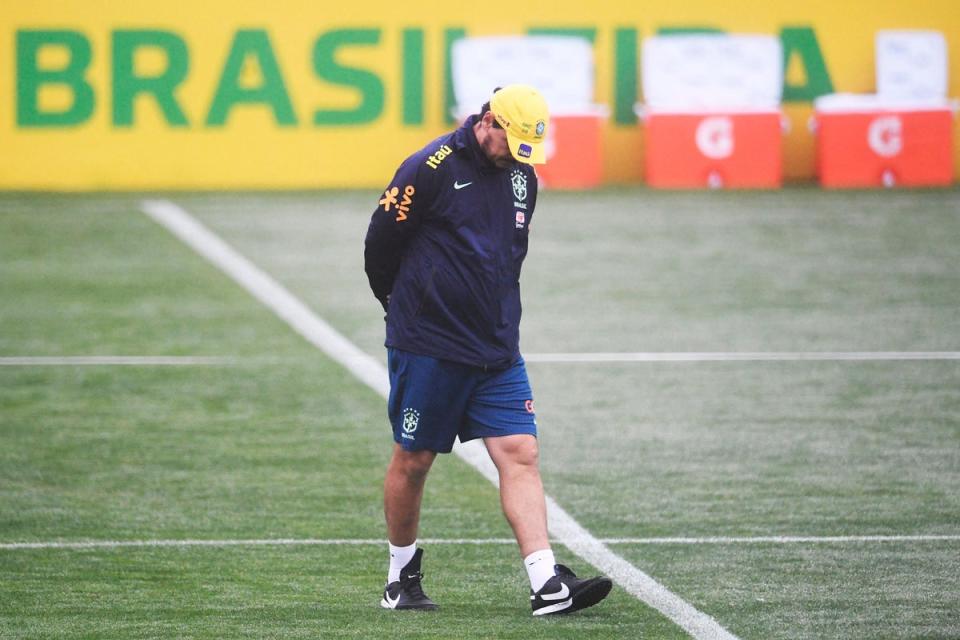 Fernando Diniz is in charge of Brazil until summer (AFP via Getty Images)