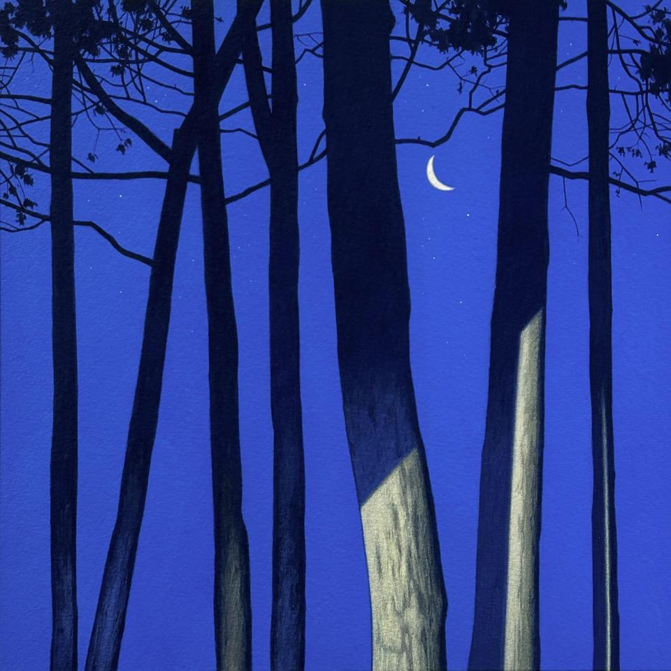 More than 20 works by Columbus artist Christopher Burk are featured in the exhibition "In The Trees The Night Wind Stirs," on view through Oct. 1 at Brandt-Roberts Galleries.