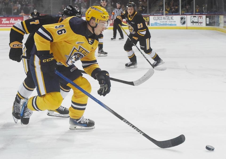 Erie Otters forward Ondrej Molnar competes against the Sarnia Sting at Erie Insurance Arena on Saturday.