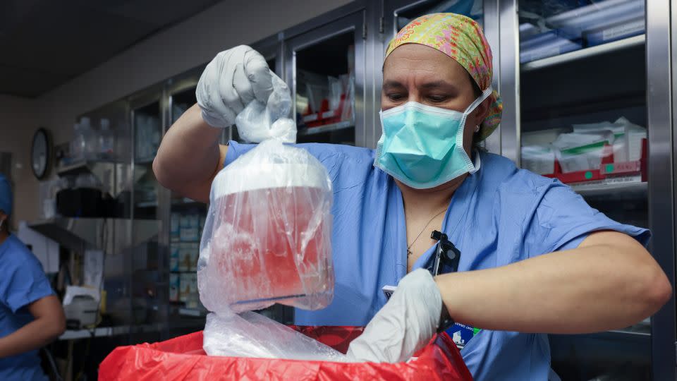 Nursing practice specialist Melissa Mattola-Kiatos removes the pig kidney from its box to prepare for transplantation. - Massachusetts General Hospital