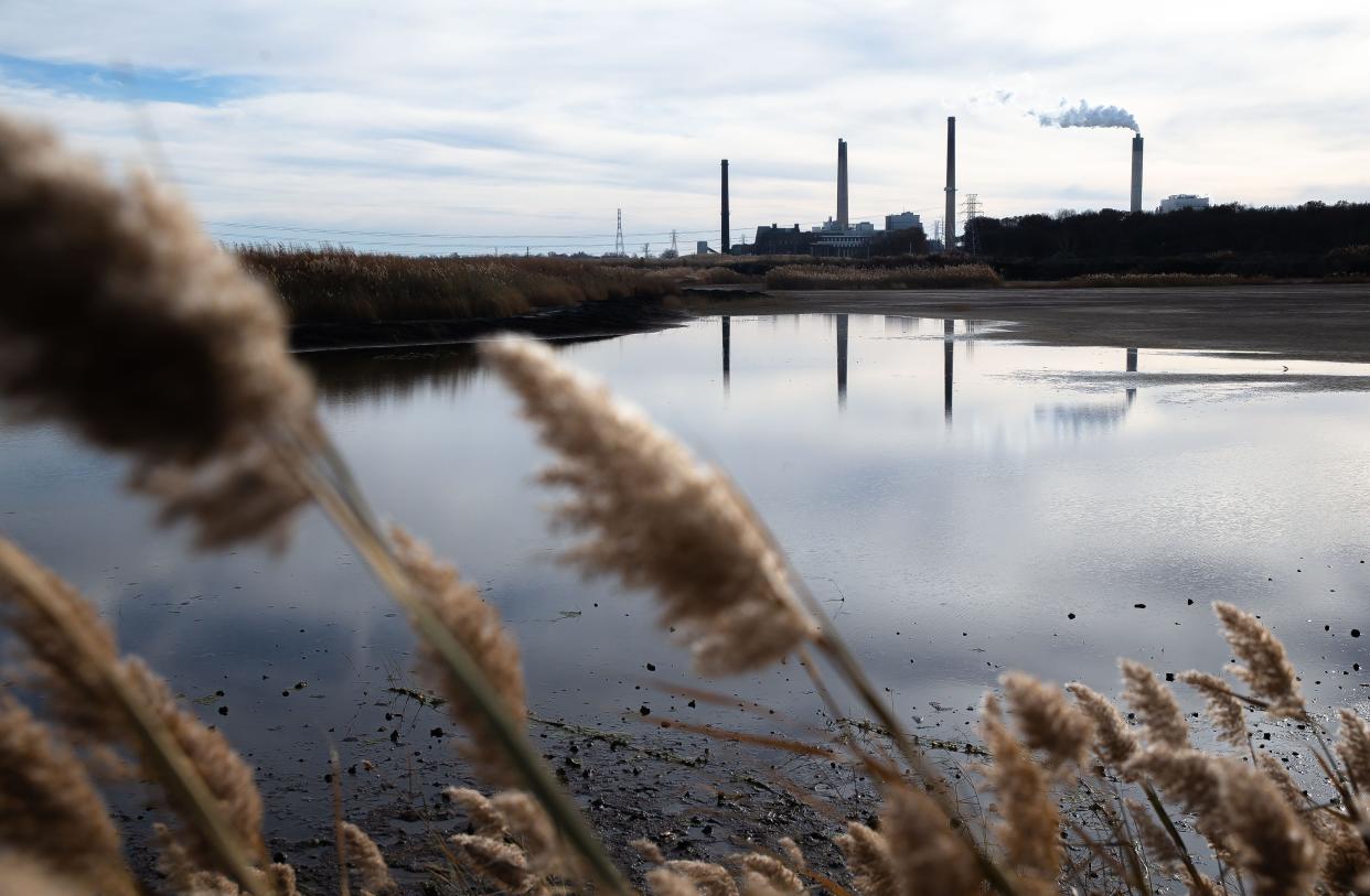 The Dallman coal ash pond across from Lake Springfield, photographed Tuesday, stores the ash produced through the electric generating process at City Water, Light and Power's Dallman 31, 32 and 33 generating units along East Lake Shore Drive in Springfield. When units 31, 32 and 33 were in service the ash was moved into the ash pond through a process called "sluicing," which combined the ash with lake water and transported to the pond through a pipeline. CWLP will hold two public meetings to discuss the eventual closure of its two coal ash ponds. [Justin L. Fowler/The State Journal-Register]