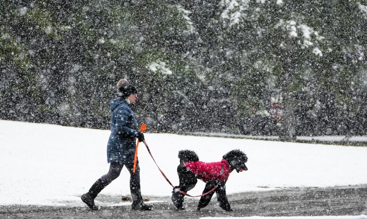 A woman walks her dog through heavy snow in Mississippi Mills, Ont., in April 2022. Another April snowstorm is on tap. (Sean Kilpatrick/The Canadian Press - image credit)