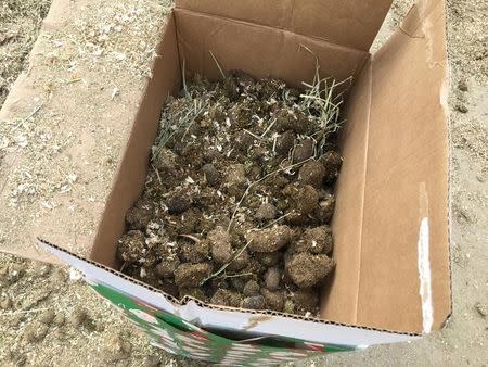 A gift-wrapped box containing horse manure is seen in this photo released by Robert Strong of Eagle Rock, California, U.S. released on December 25, 2017. Courtesy Robert Strong/Handout via REUTERS