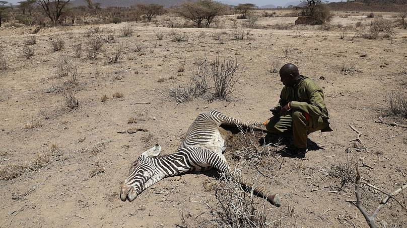 REUTERS/Baz Ratner/File Photo