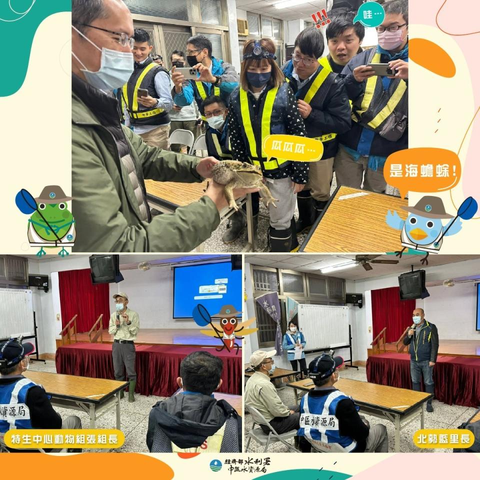 鳥嘴潭已遭海蟾蜍入侵。取自鷲4i鳥嘴潭臉書專頁