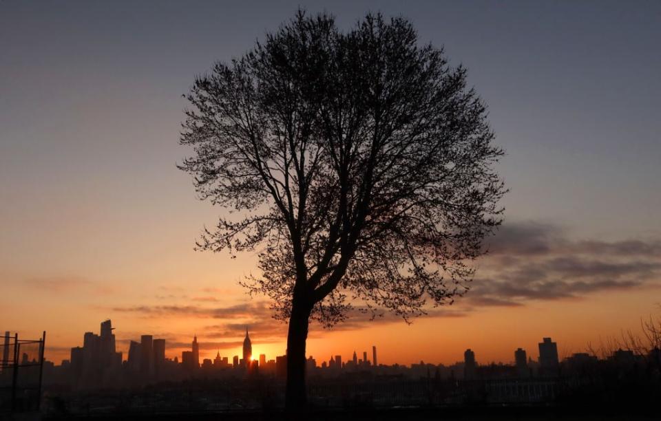 The sun rises behind the skyline of midtown Manhattan and the Empire State Building in New York City and a blossoming tree on April 4, 2023, in Jersey City, New Jersey. Systemic racism that influenced redlining and construction practices resulted in fewer trees in Black neighborhoods. (Gary Hershorn—Getty Images)