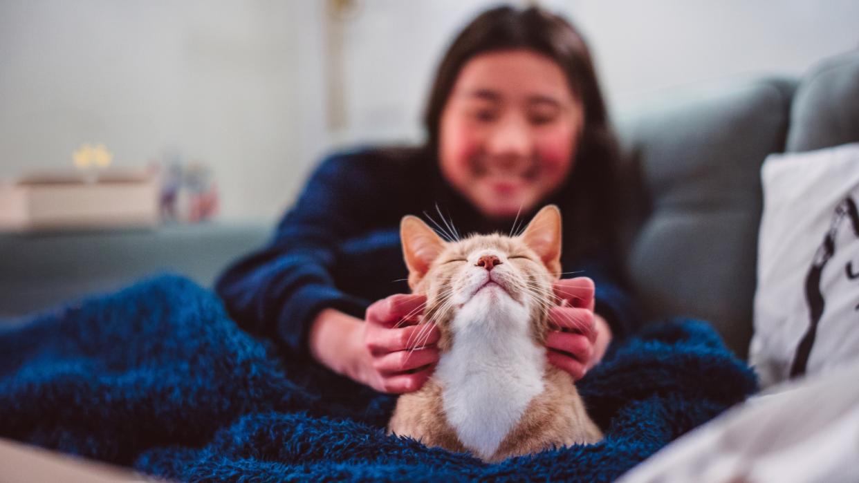     Woman scratching a ginger cat on the sides of the face. 