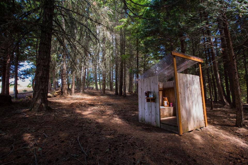 oregon airbnb outhouse near the tower