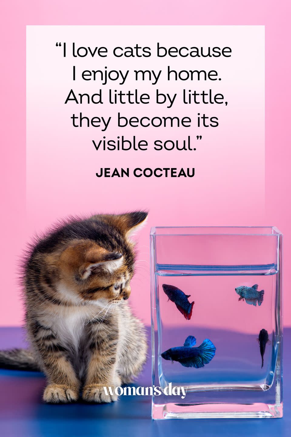 45 Adorable Cat Quotes That Will Melt Your Heart