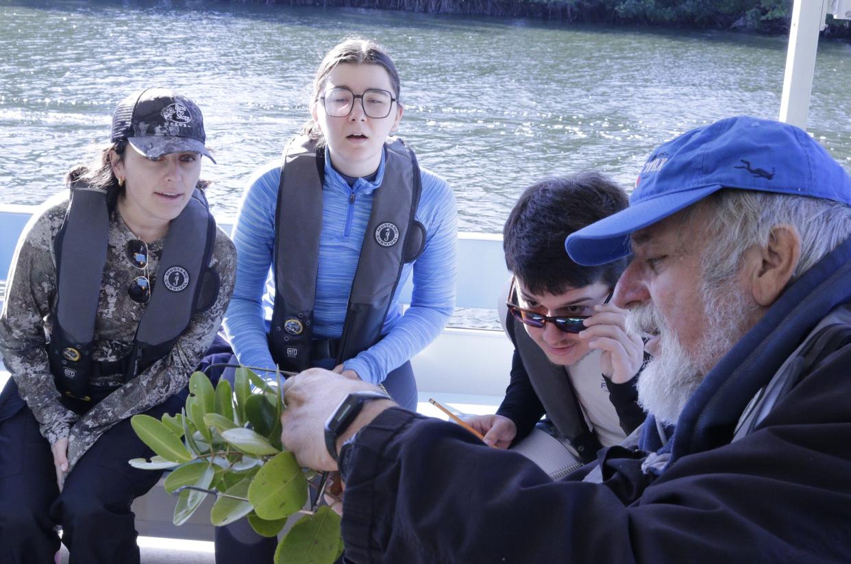 Harbor Branch Oceanographic Institute faculty member Dennis Hanisak, right, teaches Florida Atlantic University students about mangroves earlier this year.