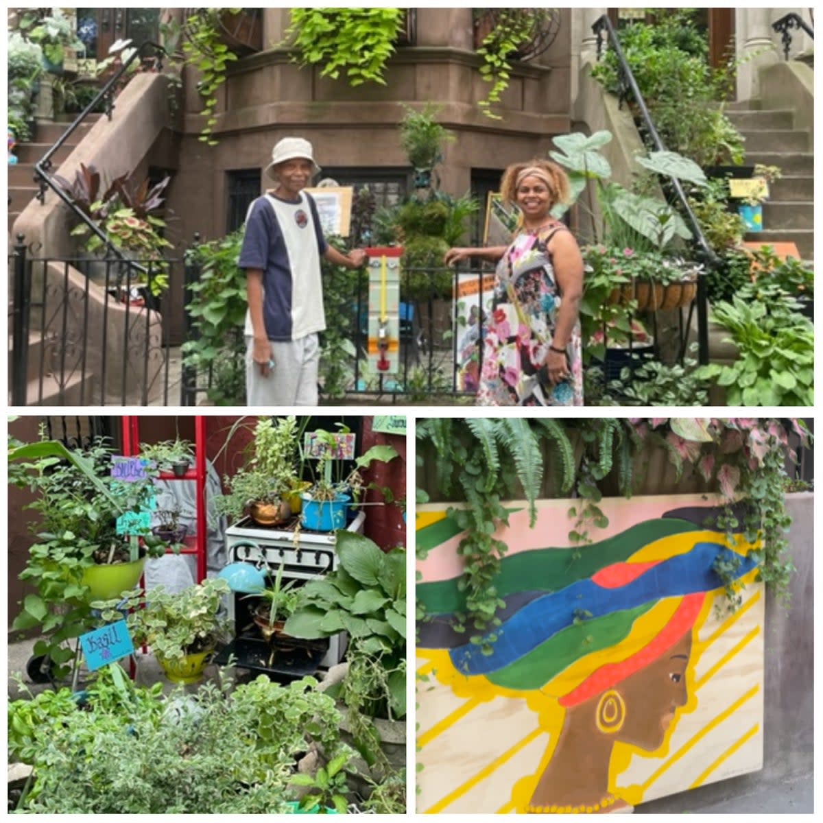 The ‘greenest block’ in Brooklyn (Louise Boyle)