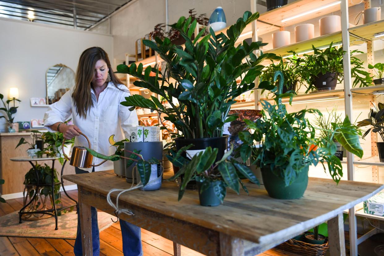 Mary Dunlap, owner of Wilder Plant Shop located inside The Good Market in Travelers Rest, S.C., waters plants at the shop on Friday, April 5, 2024.