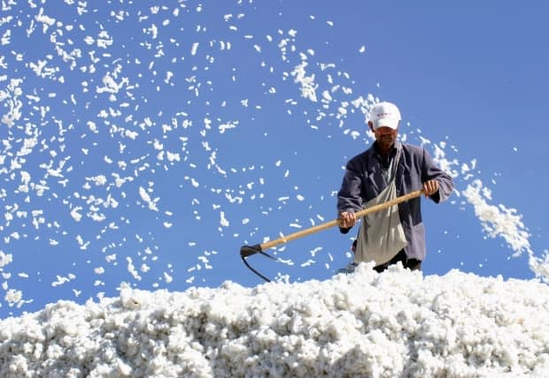 A labourer stacks cotton in China's Xinjiang region in 2006. While Canada has not blocked any shipments from the region, the U.S. is stopping fabrics, food and electronics from that area, where the United Nations says China may be committing crimes against humanity in forced re-education camps.