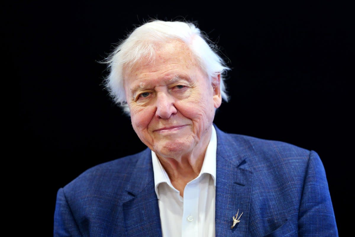 Sir David Attenborough (Victoria Jones/PA) (PA Wire)