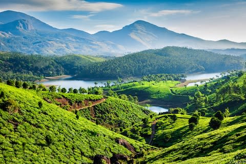 Out in the sticks: Kerala - Credit: istock