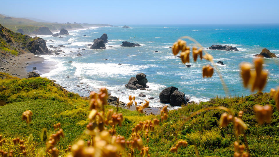 The California coastline as seen from Sonoma State Park.