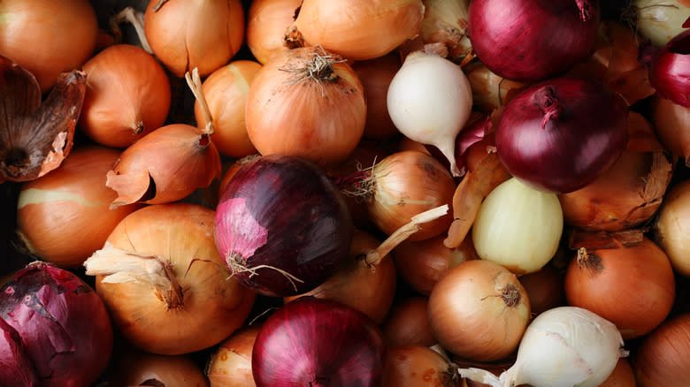 different onion varieties