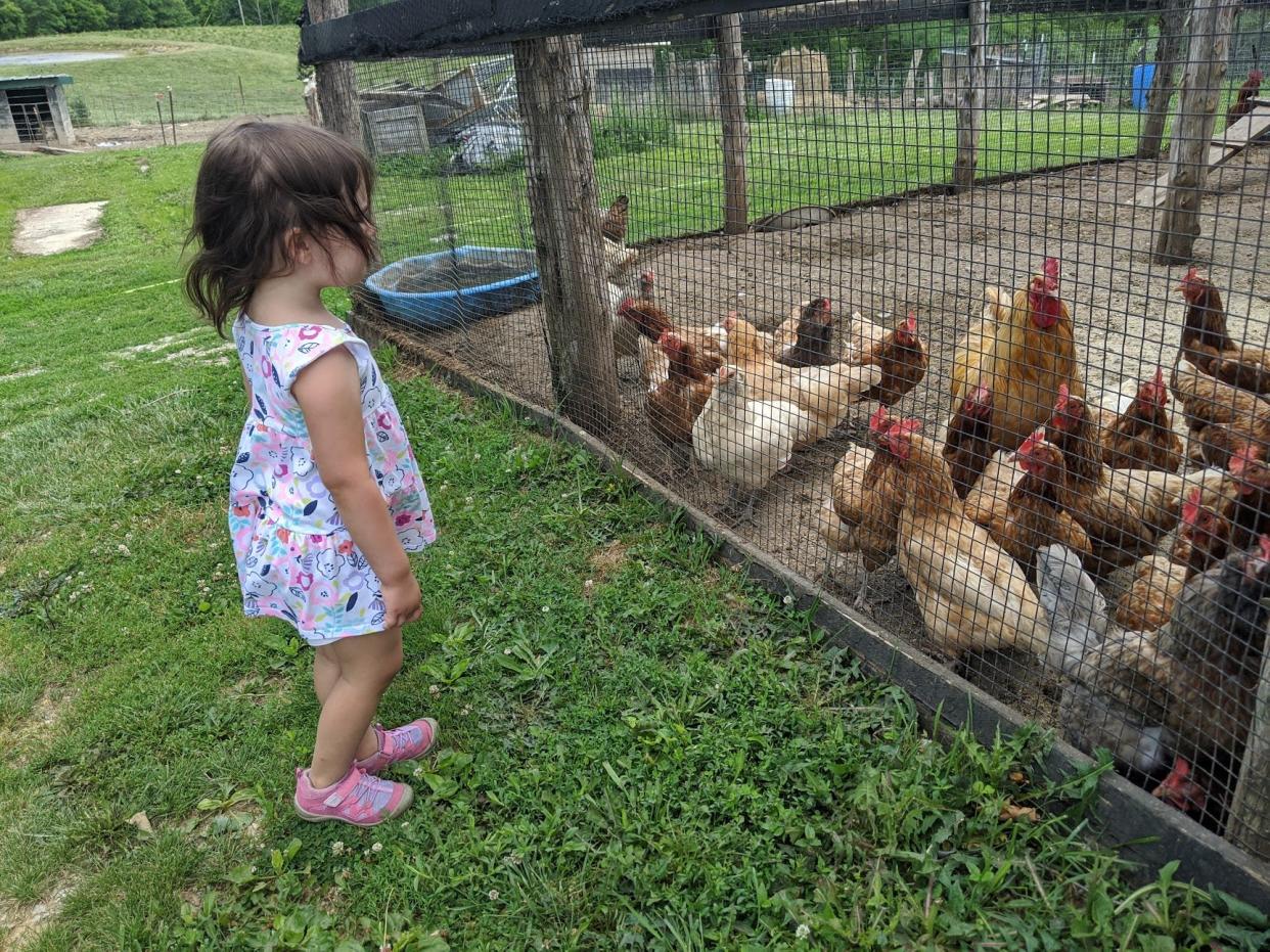 In this photo from 2020, the writer's daughter visits with chickens that are nice to look at but do not live in her backyard.