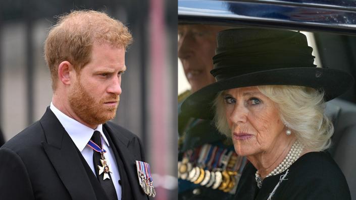 Prince Harry and Camilla looking serious