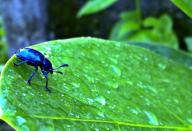 Crawling in! <br>By <a href="http://www.flickr.com/photos/devasrita_photography/" rel="nofollow noopener" target="_blank" data-ylk="slk:Devasrita;elm:context_link;itc:0;sec:content-canvas" class="link ">Devasrita</a>