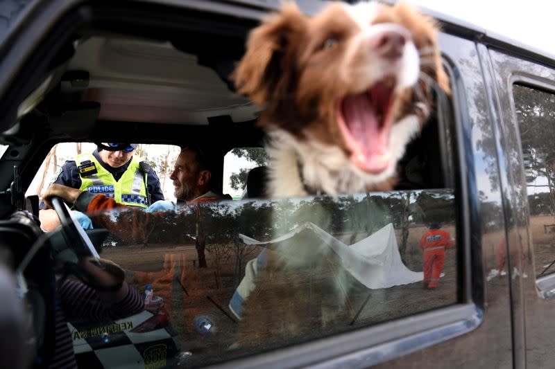 Puppy Django yawns as his owner Jon Cross fills out paperwork to cross back into South Australia from Victoria during the coronavirus disease (COVID-19) outbreak, in Bordertown