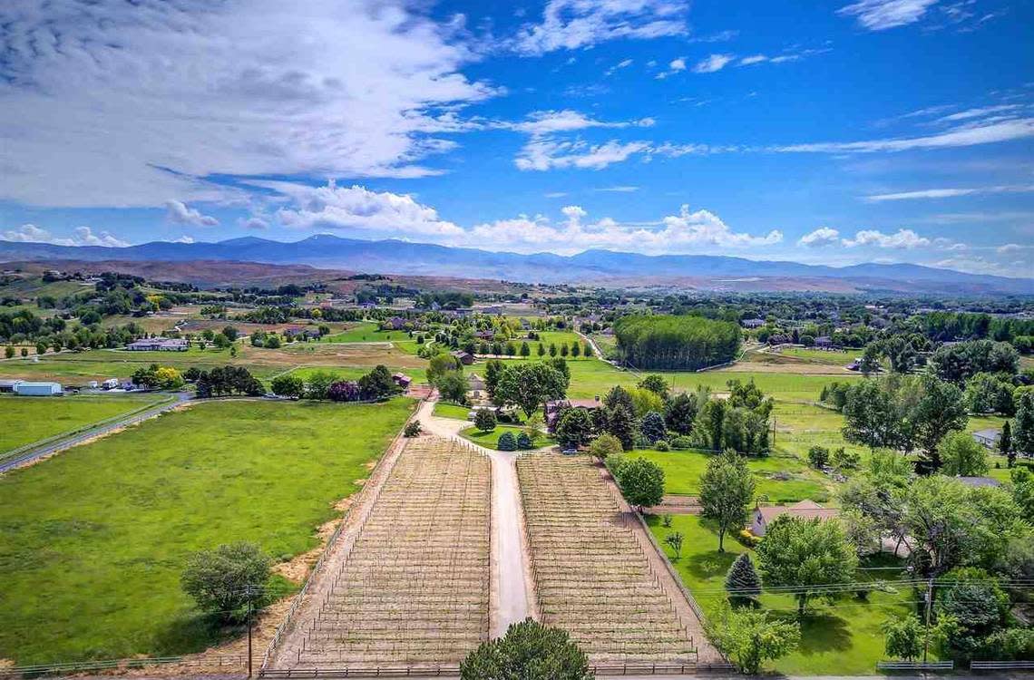 The $5.2 million home includes a vineyard in the front, shown here, along with a guest house, hot tub and crystal chandeliers. Cy Gilbert/Cy Gilbert Photography