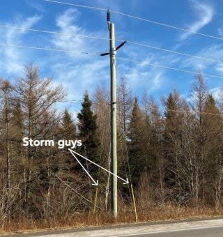 A photo included in the strategy suggests poles in vulnerable areas could be bolstered by guy wires.