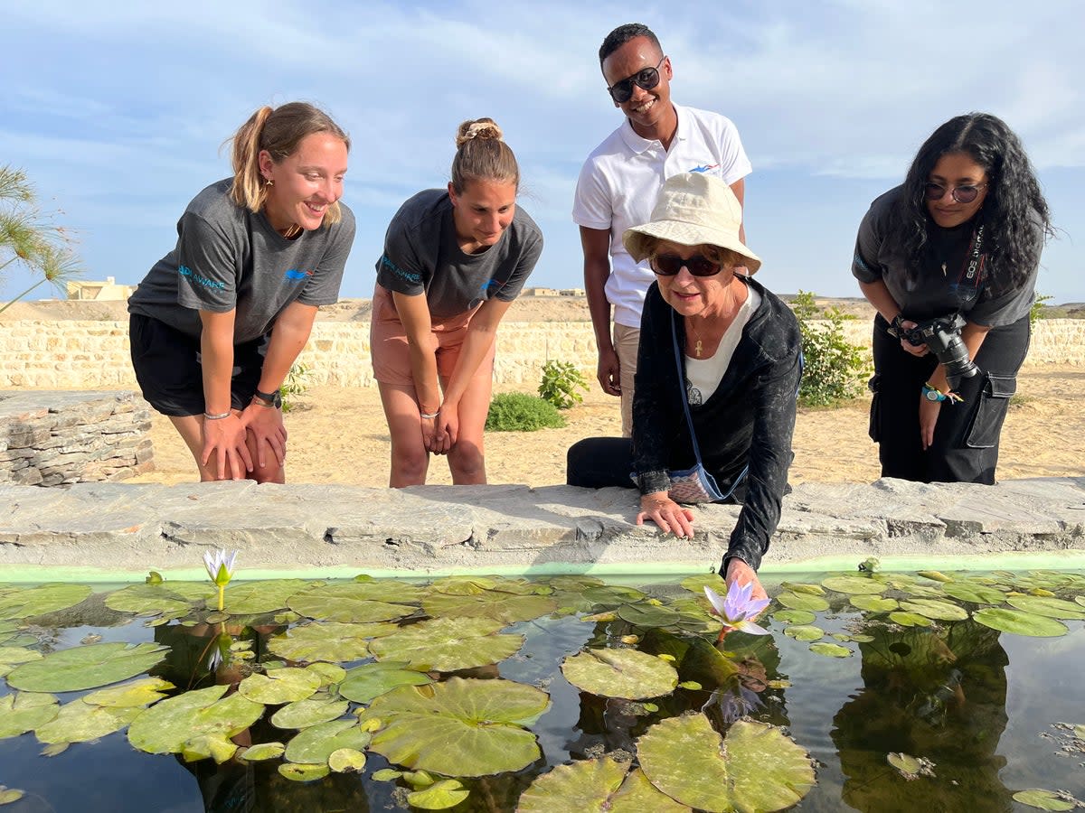 Dr Irina Springuel and her students at the desert garden (Phoebe Smith)