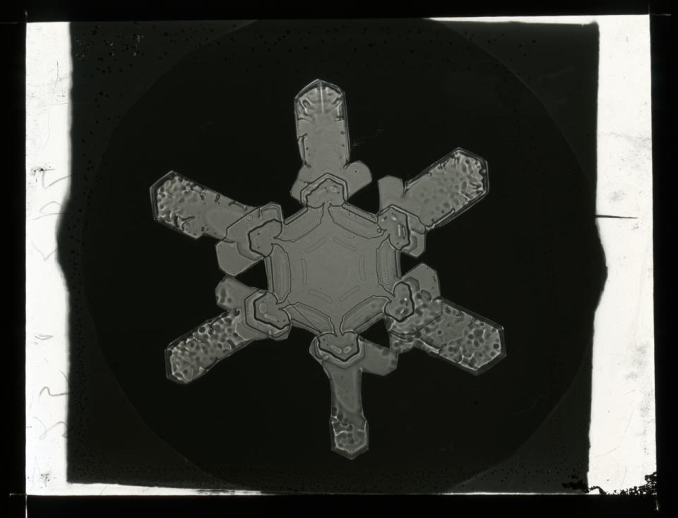 Untitled (Snow crystal photomicrographs), ca. 1883-1931. Courtesy Smithsonian Institution Archives