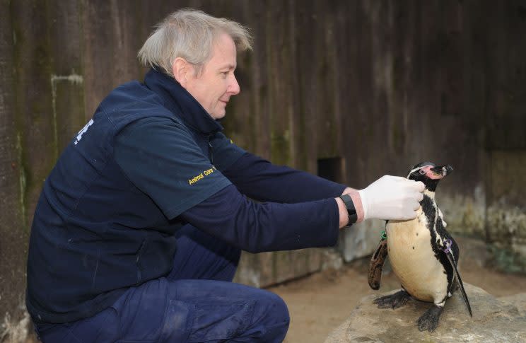 A true friendship – Dave with Dippy (PA)