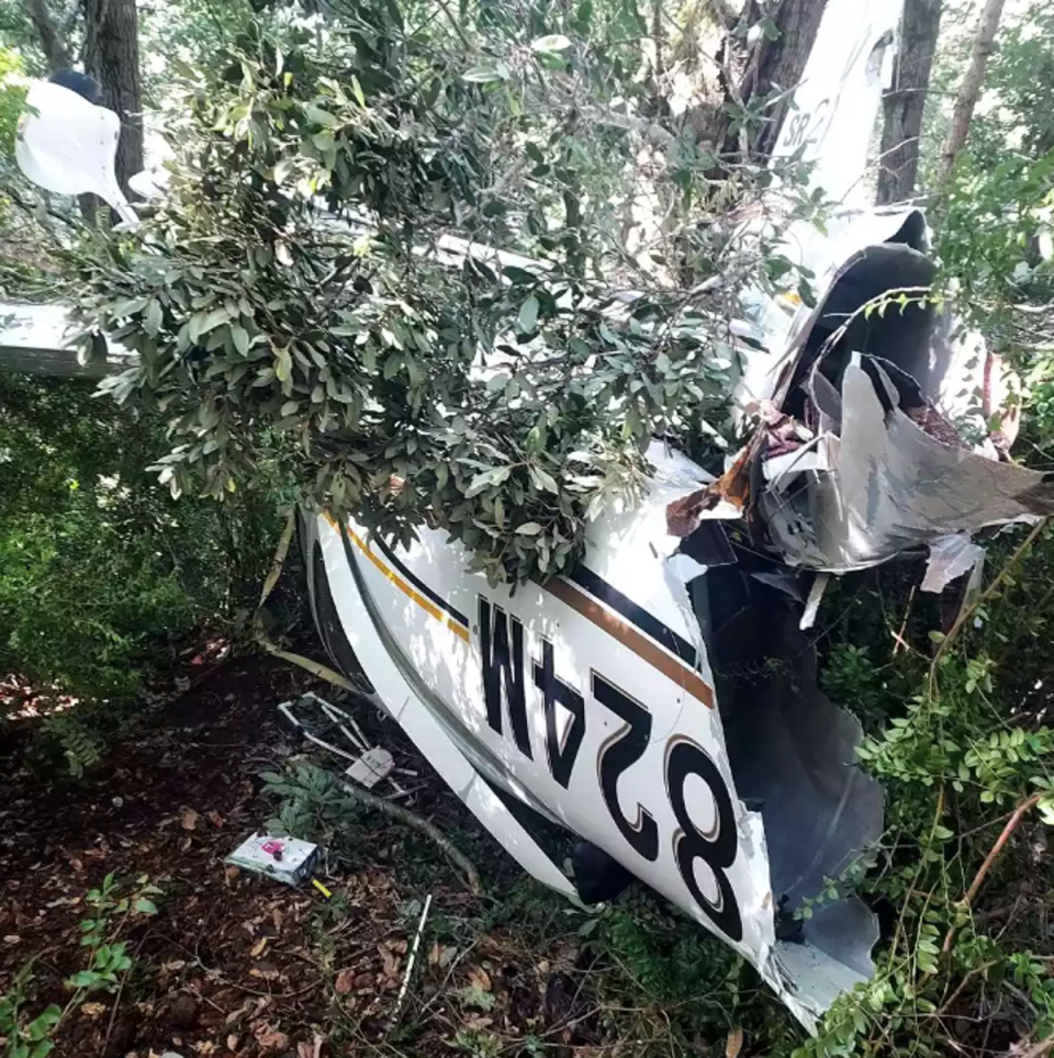 The plane was destroyed in the crash (Shelter Cove Fire via Instagram)