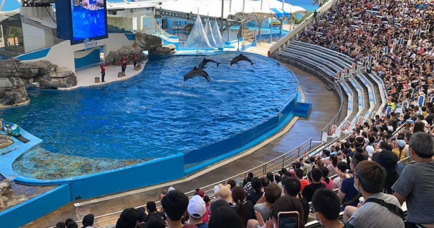 花蓮遠雄海洋公園今中午前入園人數已達4000人。（圖／花蓮遠雄海洋公園提供／中國時報羅亦晽花蓮傳真）