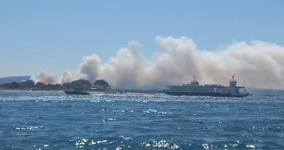 A large fire has broken out at Studland in Dorset. (Helen Keeling)