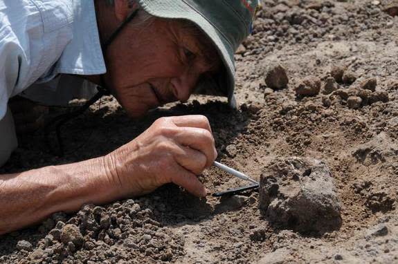 Meave Leakey carefully excavates the new face KNM-ER 62000. Researchers might be able to reconstruct what this new human species might have eaten by looking at its teeth and jaws.