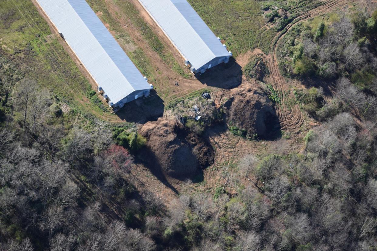 <span>Exposed poultry litter manure in Broad River Watershed, North Carolina.</span><span>Photograph: Courtesy of MountainTrue</span>
