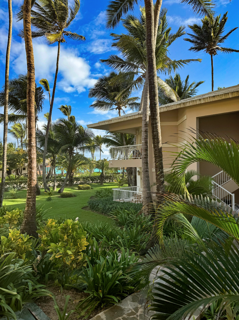 a house with palm trees and grass