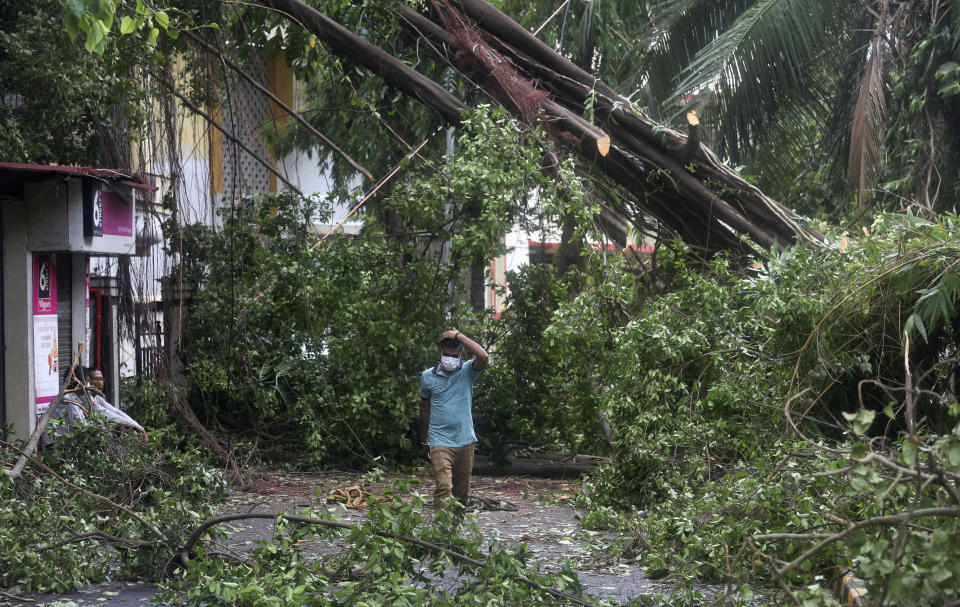 A man walks past a fallen tree after heavy rainfall in Mumbai India, Tuesday, May 18, 2021. The Maharashtra state capital was largely spared from any major damage as Cyclone Tauktae, the most powerful storm to hit the region in more than two decades, came ashore in neighboring Gujarat state late Monday. (AP Photo/Rafiq Maqbool)