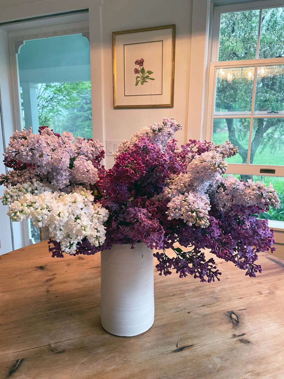 Lilacs in lavender, purple and white are displayed on the kitchen table in Carleton Varney's farmhouse in Millwood, New York.