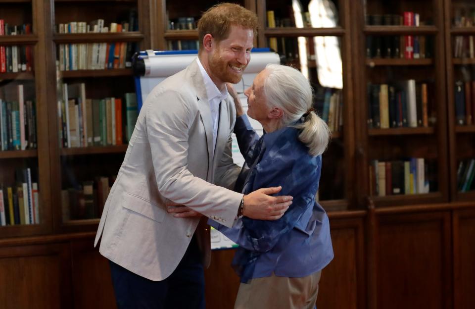 prince harry jane goodall