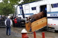 Kentucky Derby and Preakness Stakes winner American Pharoah is walked off a horse carrying van as he arrives at Belmont Park in Elmont, New York June 2, 2015 as trainer Bob Baffert looks on (L). REUTERS/Mike Segar