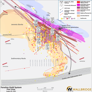 Fenelon Gold, Plan View