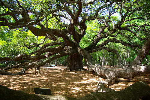 Johns Island, South Carolina