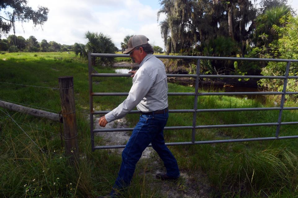 Adams Ranch president Mike Adams, 66, closes a gate separating pastures on his land on Thursday, Sept. 23, 2021, while giving a tour of the land. The ranch, an 40,000-acre cattle and citrus farm in Fort Pierce, has worked with state environmental agencies for four generations. Adams remembers when state officials instituted more stringent regulations. Now, state agencies take a more cooperative approach, informing farmers of needed changes rather than threatening hefty consequences. “We definitely want to be good stewards of the land and that's something we have always strived for,” Adams said.