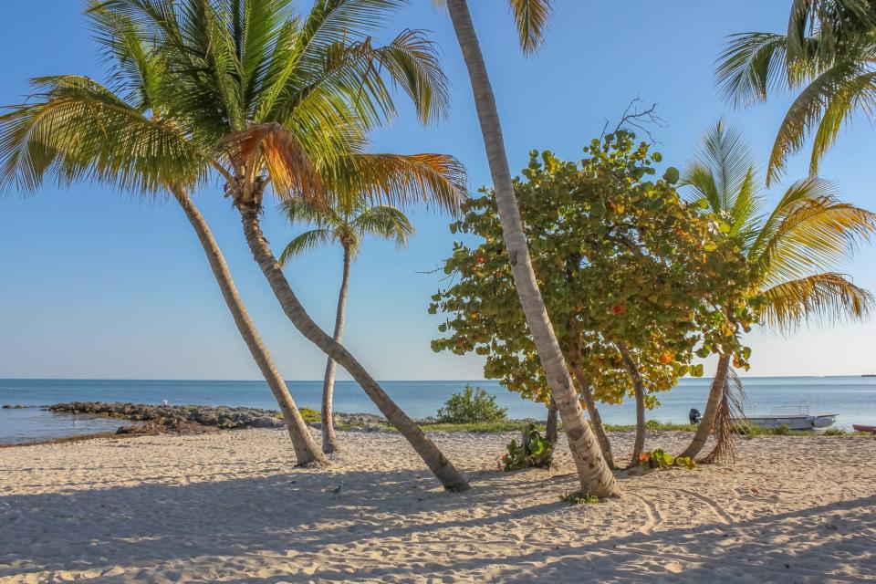 Higgs Beach/Rest Beach