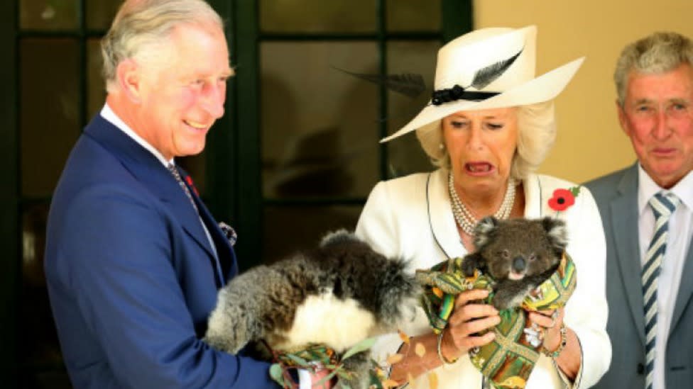 Camilla got cosy with a koala during a visit Down Under in 2015. Photo: Getty