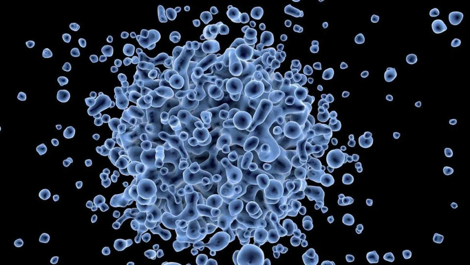 餓死癌細胞真的可以被「餓死」， 抗癌成功醫師曾嶔元曝光癌細胞最怕「胰島素被刺激」。（圖／翻攝自pixabay）
