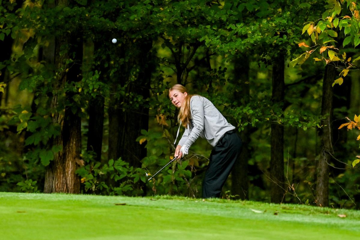 MHSAA girls golf state finals See the Greater Lansing qualifiers