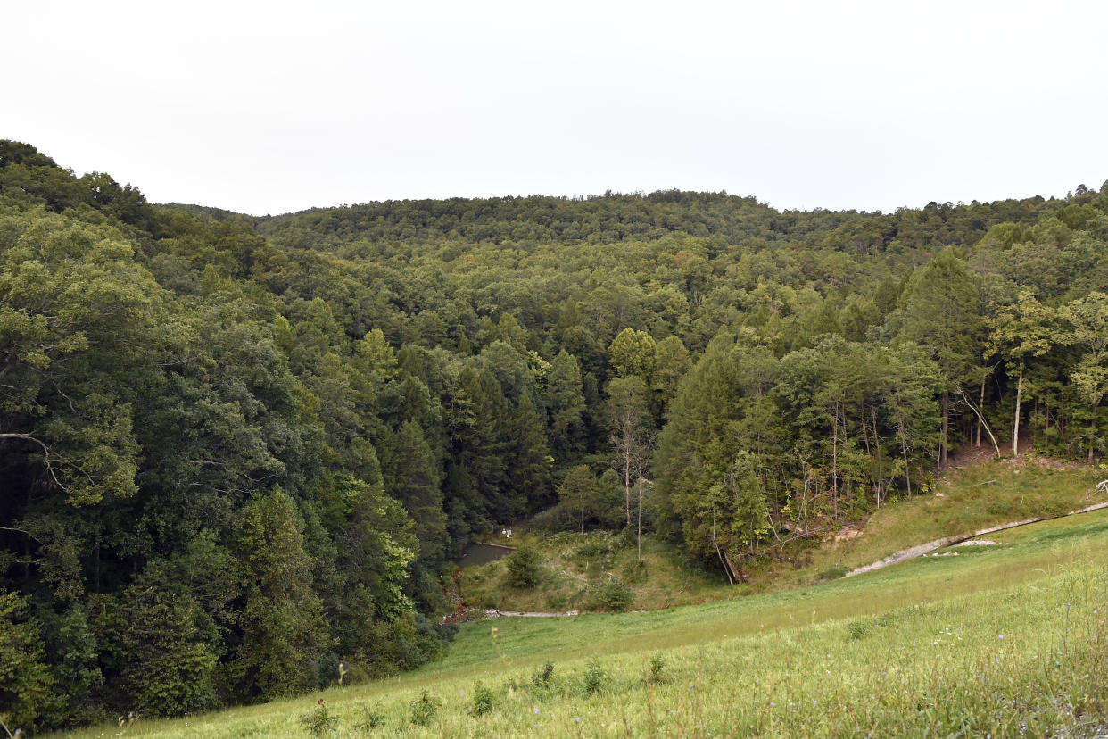 Trees stand in wooded areas alongside Interstate 75 near Livingston, Ky., Sunday, Sept. 8, 2024, as police search for a suspect in a shooting Saturday along the Interstate. (AP Photo/Timothy D. Easley)