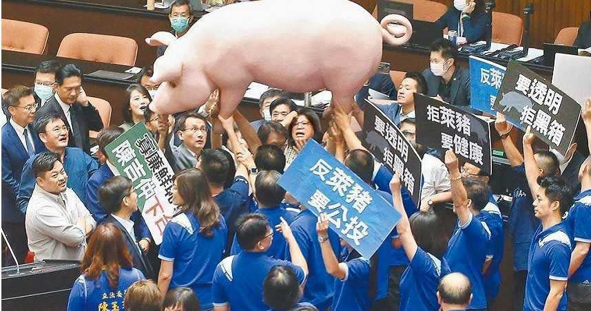 蔡政府宣布全面開放萊豬進口，國民黨立委針對《食品安全衛生管理法》、《學校衛生法》提出多項修法草案因應。（圖／報系資料照）